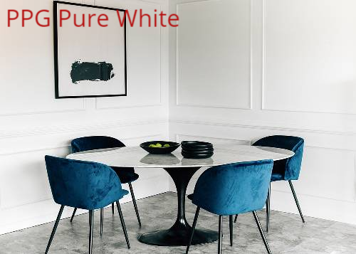  PPG Pure White