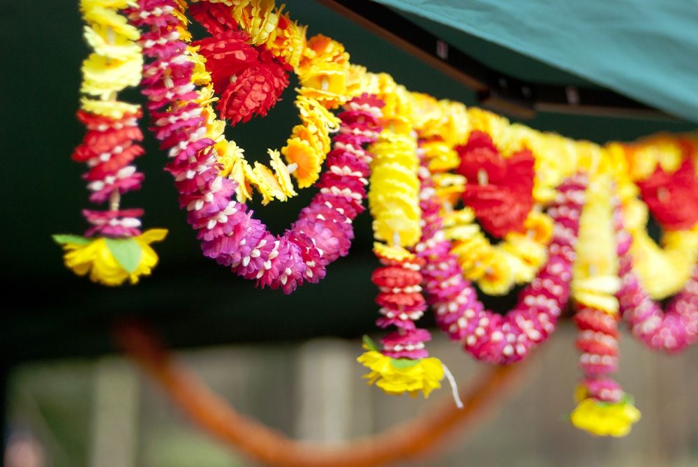 colorful flowers