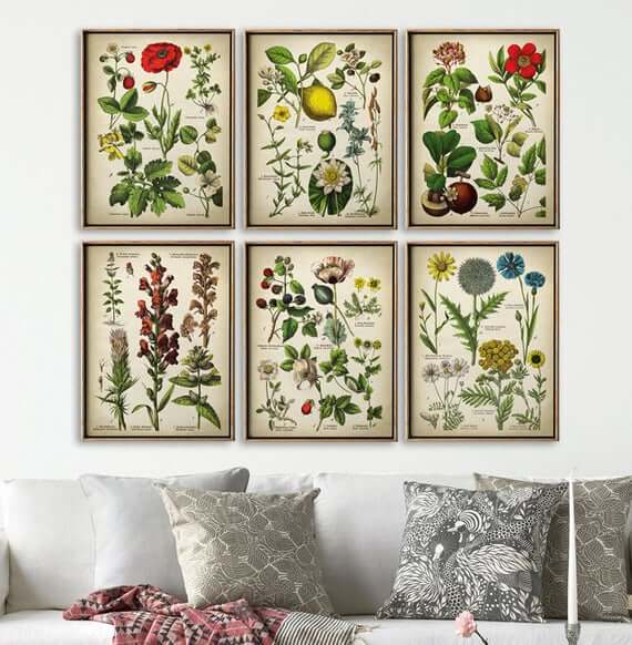 Pressed Flower Frames