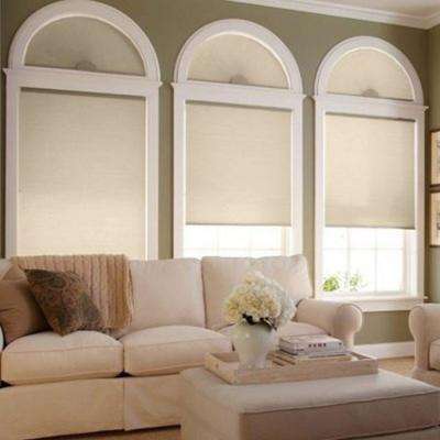 Levolor Light filtering cellular arched curtains
